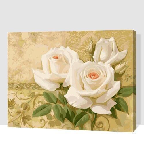 MaHuaf-A772 Pure white roses DIY oil painting by numbers DIY digital oil painting on canvas home decor 40x50cm Framed