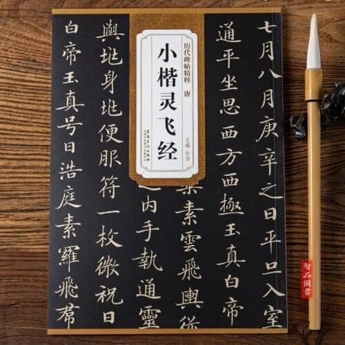 Chinese calligraphy 8---《Ling fei jing