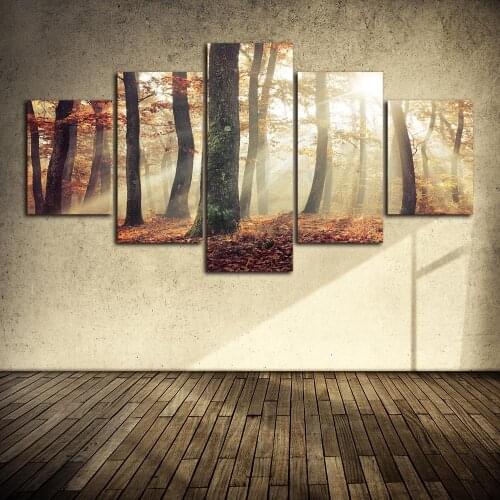 Fall Morning Sun Rays Painting Wall Art Poster Canvas Painting Nordic Wall Pictures Living Room Home Decor No Frame
