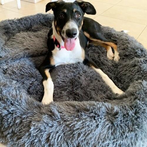 Thick cotton round dog bed super soft long plush pet cat mat for dogs nest Cushion Bed winter warm pets sofa Dog Kennel