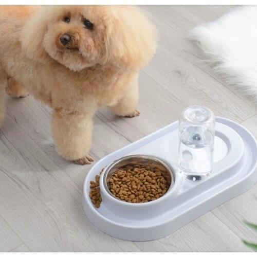 Cute 2 in1Bowl For Dog Cat Pet Bowl Pet Puppy Kitten Food Water Bowls Anti-Skip Food Drink Water Feeder With Water Dispenser