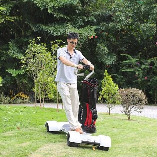 EcoRider 1000W 60V 20.8Ah Electric Golf Cart Max Mileage 70km Golfboard 4 Wheels Electric Scooters Citycoco Scooter