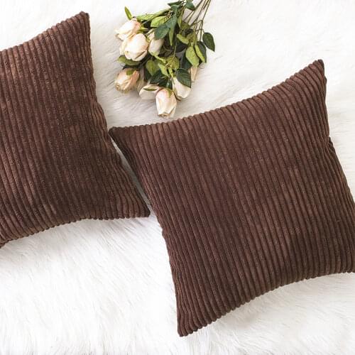 2PCS Ditch Velvet Cushion Cover, Soft Comfortable Pillowcase,Solid Color Throw Pillow Cases,Luxuriou Wholesale Sofa Decor