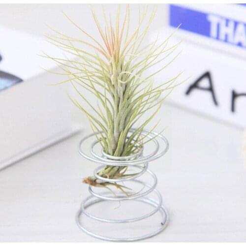 Air Plant Spring Wire Tabletop Tillandsia Holder Miniature new 2021 Gardening Decorations T3D4