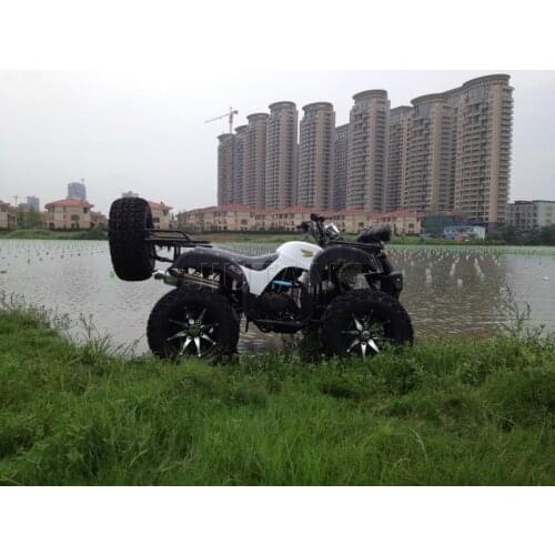 New ATV Electric Beach Buggy All Terrain Vehicle