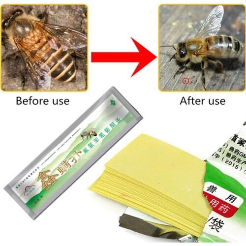 40pcs Strips Fluvalinate Strip Bee Mite Varroa Killer Beekeeping Medicine
