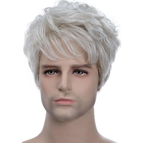 Natural Looking Cool Pixie Cut Male Wigs Short Straight Human Hair Full Wig Silver Gray with Net Cap