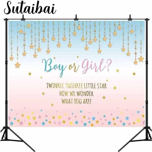 Pink and Blue Gender Reveal Party Backdrop Boy or Girl Twinkle Twinkle Little Star Photography Background Gender Surprise Banner