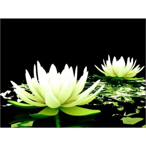 1 Panel Free shippting Canvas Print Flower White Lotus In Black Wall Art Picture with Modern Wall Paintings picture Framed