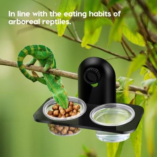 POPETPOP Pet Reptile Feeder Water Food Feeder Plastic Bowl Cup Lizard Turtle Cricket Basin Feeding Supplies Small Animals Feeder