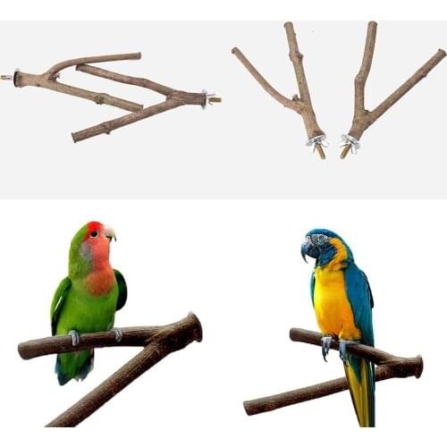 Pet Parrot Raw Wood Fork Stand Rack Toy Hamster Branch Perches for Bird Cage