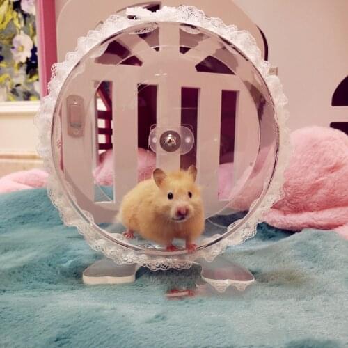 Dwarf Hamster Running Wheel Silent Large Size with Bracket Acrylic Running Wheel Transparent Golden Bear Sports Toy
