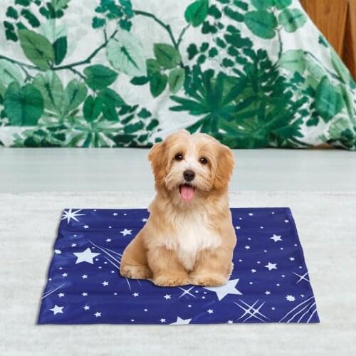 Summer Pet Ice Pad Gel Cooling Pet Bed Ice Pad Cooling Pad Dog Mat Waterproof Pad Mat Indoor Seat Puppy Pet Mat