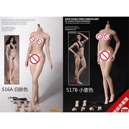 Phicen TBLeague 1/6th Medium Chest Narrow Shoulder Steel Stone Flexible Female Body S16A S17B Model For Collection