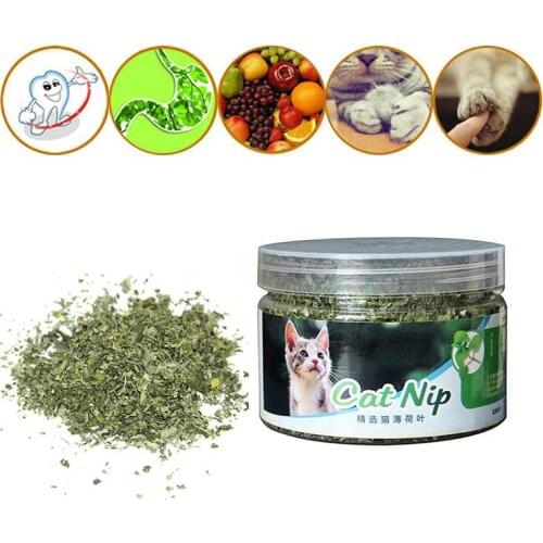 Natural Premium Catnip Cattle Grass Menthol Flavor Funny Cat Toys Pet Healthy Safe Edible Treating Organic 100% 10g/20g/30g 2021