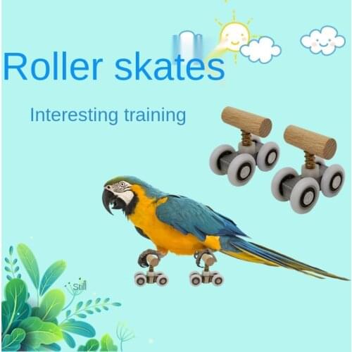 Parrot Toys Training Equipment Mini Pulley Parrot Supplies Skates and Skateboards Bird Accessories Bird Playground