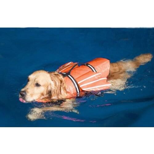 Pet life jacket reflective outdoor swimwear angel wings life jacket summer