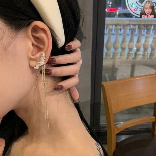 Rear-hanging Zircon Tassel Dangle Earrings New Trendy High-end Light Luxury Round Drop Earrings for Women Jewelry