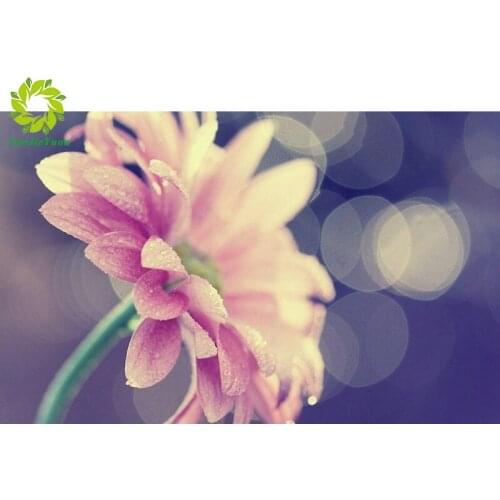 Full Square/Round crystal drill DIY Diamond embroidery pink flower Painting Cross Stitch Rhinestone Mosaic decoration