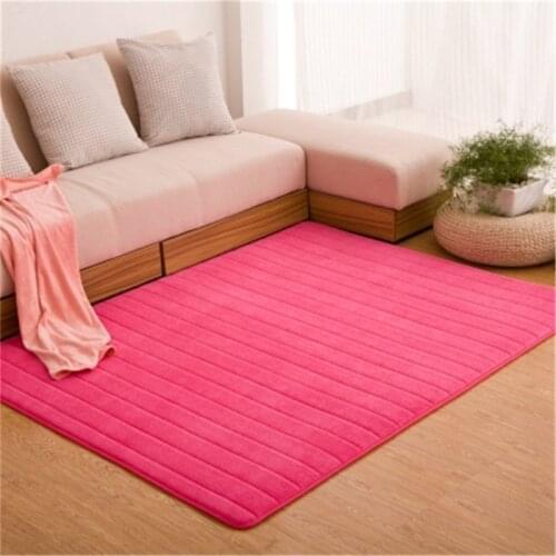 Ultra Soft Thick Memory Foam Absorbent Coral Fleece Fabric Area Rugs Nonslip Living Room Carpet Bathroom Rugs Set Floor Shag Rug