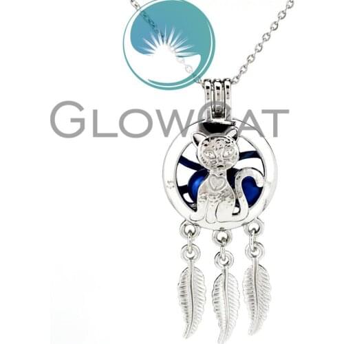 KK783 Long Tail Cat Dream Catcher Pendant Necklaces Oyster Pearl Cage Aroma Perfume Locket Beads Cage Stainless Chains Necklace