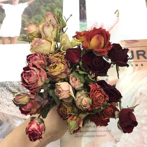 Multi-Head Rose Dried Flower Bouquet Ins Bouquet Decoration Real Flower Natural Air Drying DIY Handmade Epoxy Earrings