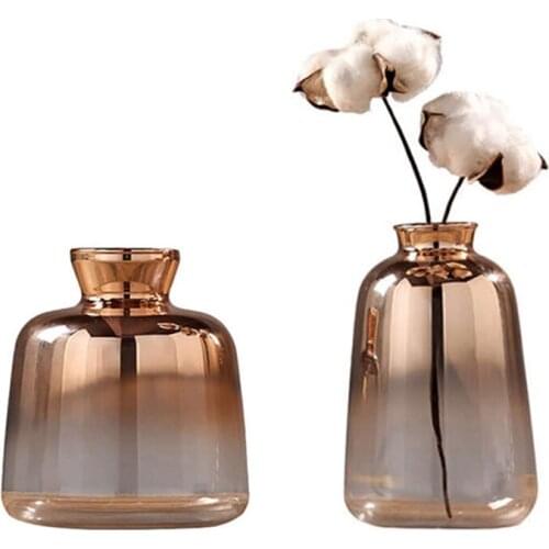 2 Pack Glass Vase Nordic Electroplated Gold Vase Glass Flower Vases for Home Decor Dried Flower Bottle Bar Decoration