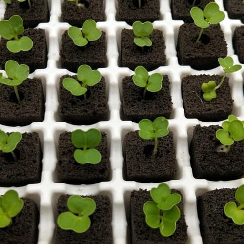 20pcs Nursery Block Hydroponic Vegetable Seedling Soilless Cultivation Seedling Block Nursery Substrate Blocks