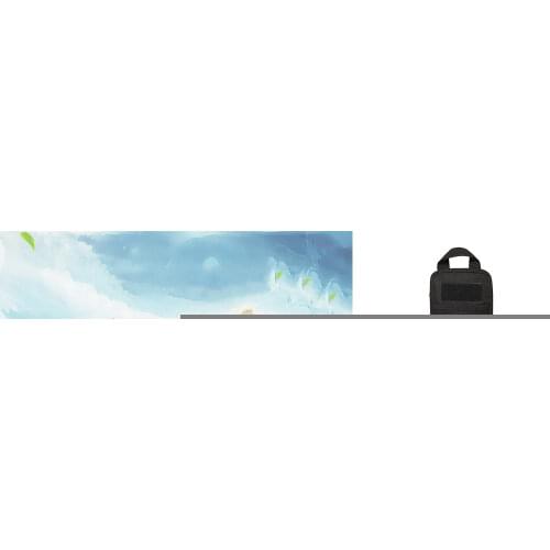 Despitego Sport Bags
