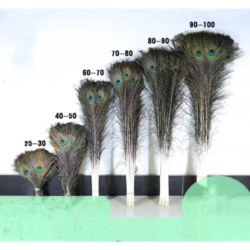 50 Pcs/Lot Natural Real Peacock Feathers For Crafts 10-90cm dress is with Home Hotel decor room vase Wedding decoration plumes