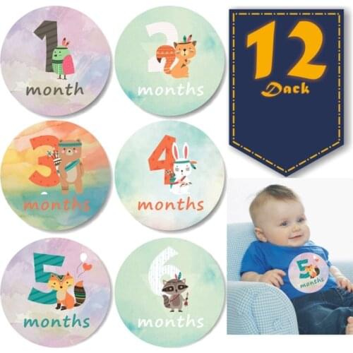 12 Pcs Baby Pregnant Monthly Stickers Newborn Growth Photography Props Animal Pattern Memory Recording Milestone Sticker