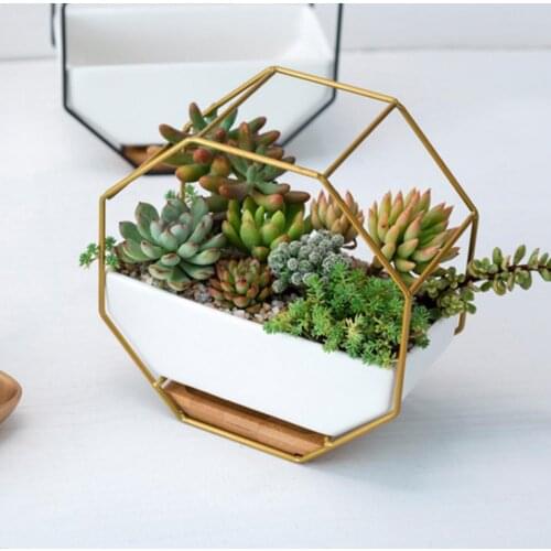 Octagon Wall Plant Vase Flower Succulent Plant Hanging Pot Nordic Ceramic Metal Wall Frame Pot With Bamboo Tray Hoem Decor
