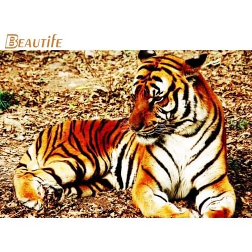 New Arrival beautiful tiger Poster Cloth Silk Poster Home Decoration Wall Art Fabric Poster Print30x45cm,40X60cm.50X75cm,60X90cm