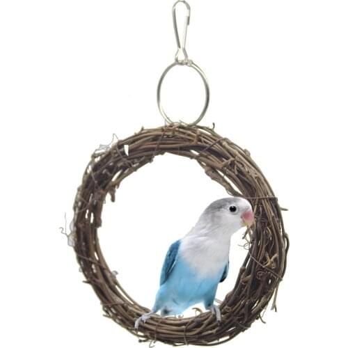 Traumdeutung African Grey Parrots Toys Bells For Bird Cockatiel Pet toy And Pets Cage Accessories Perch Budgie Parakeet