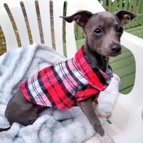 New Spring Pet Fashion Puppy Dog Vests Plaid Stripe Pet T Shirt Cotton Cat Grid Costumes Dog Autumn Clothes Jacket Coats