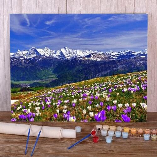 Flower Landscape Painting By Numbers Complete Kit Oil Paints 40*50 Oil Painting Home Decoration Crafts For Handiwork