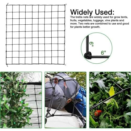 Grow Tent Trellis Net Grow Elastic Rubber Garden Trellis Net For Indoor Vegetable Climbing Vine Plants Garden Plant