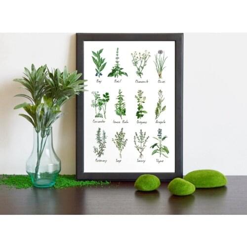 Art Decoration Botanical Chart Wall Art Poster Prints Herbs and Spices Painting Picture Herbarium Kraft paper poster