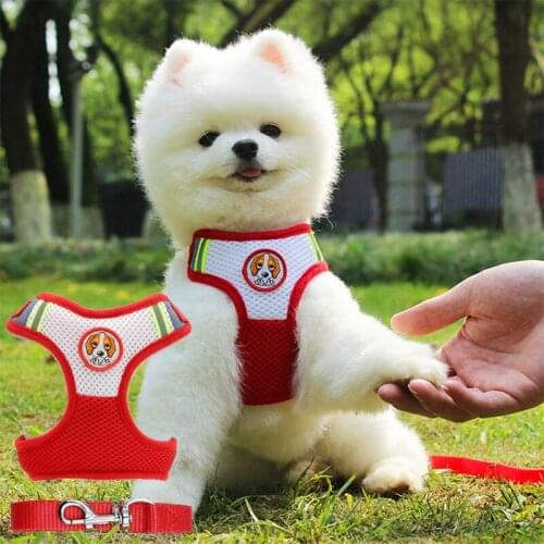 Dog Reflective Safety Harness with Leash Adjustable Vest Nylon Mesh Puppy Cat Vest Walking Harness Leash Set S/M/L Dog Supplies
