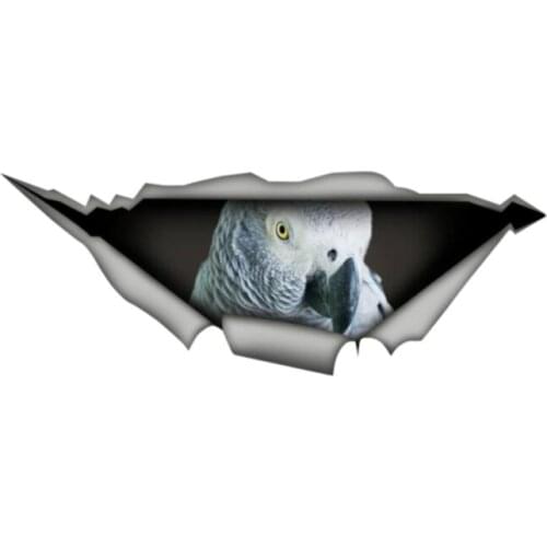 Creative Torn Metal Decal African Grey Bird Vinyl Sticker Parrot Car Stickers Window Bumper Laptop Decor Car Styling,13cm*5cm