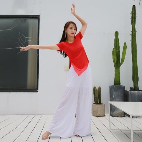 Belly Dance Uniforms Modern Dance Suits Classical Yoga Dance Type Tops and Pants #DP0032