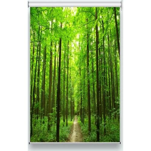 3D roller blinds forest Living room modern roller blinds for bedroom decoration horizontal blinds