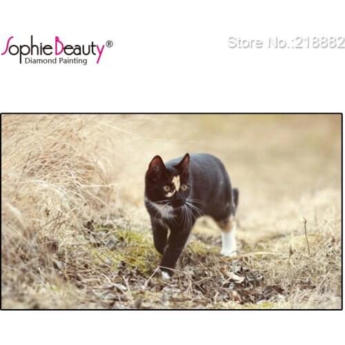 2018 Real New Arrival Diamond Painting Rhinestone Craft Wilderness Cute Black Cat Diy Embroidery Cross Stitch Needlework Picture