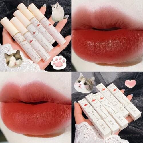 5 Color Matte Lip Gloss Moisturizer Liquid Lipstick Sexy Color Lip Gloss Waterproof Long Lasting Lip Tint Cosmetic Lip Makeup