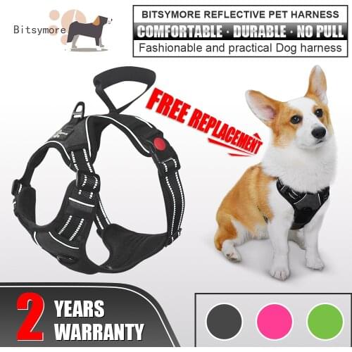 Bitsymore Dog Harness Pet Adjustable Reflective Vest Waterproof Lead Dog Leash Polyester Mesh Harness for Small Medium Large Dog