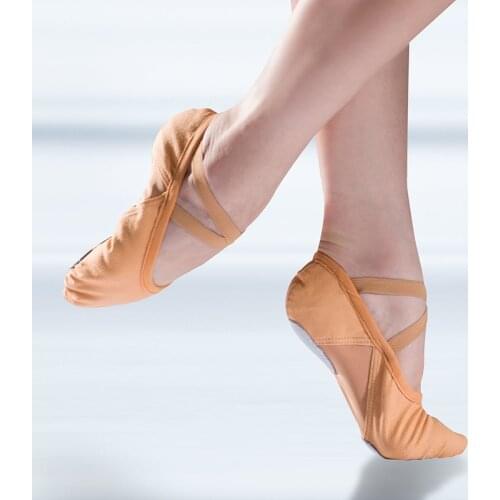 Pointe Ballet Shoes Ballerina Ballet Flats Girls Power Stretch Mesh Canvas Dancing Shoes for Women Suede Sole Ballet Slipper