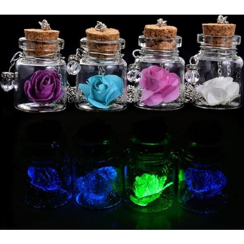 Romantic Luminous Glow In Dark Rose Flower Pendant Necklace Fluorescent Glass Wish Bottle Chain Choker Necklace Gift Jewelry