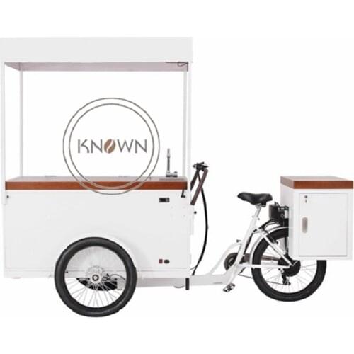 LCD Display Pedal/Electric Cargo Bike Refrigerator Street Mobile Vending Food Cart Adult Ticycle