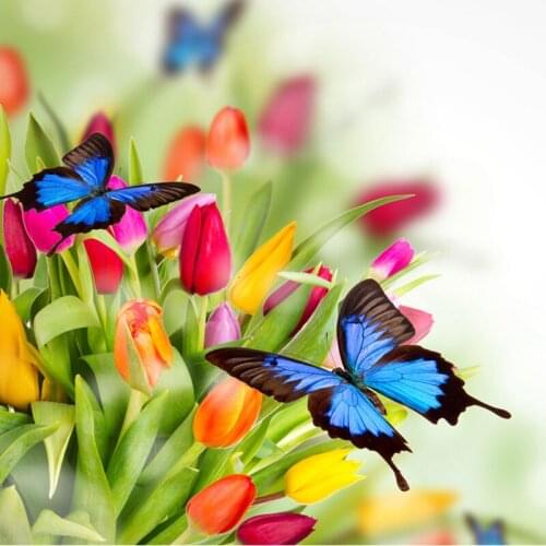 2016 diy diamond painting cross stitch crystal full square diamond sets decorative Diamond embroidery flower BUTTERFLY tulip A6R