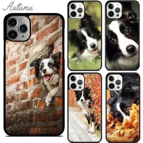 Cute Border collie dog pet Phone Case for iPhone 11 12 Pro Max mini X XR XS SE 2020 5 6S 7 8 Plus Samsung Galaxy S8 S9 S10 Cover